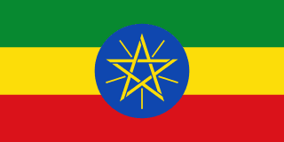 Addis Ababa University