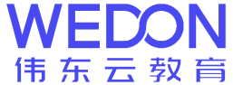 伟东云教育集团